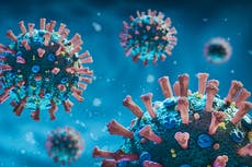 ¿Qué tan peligrosa es “Pirola”, la nueva variante de covid-19?