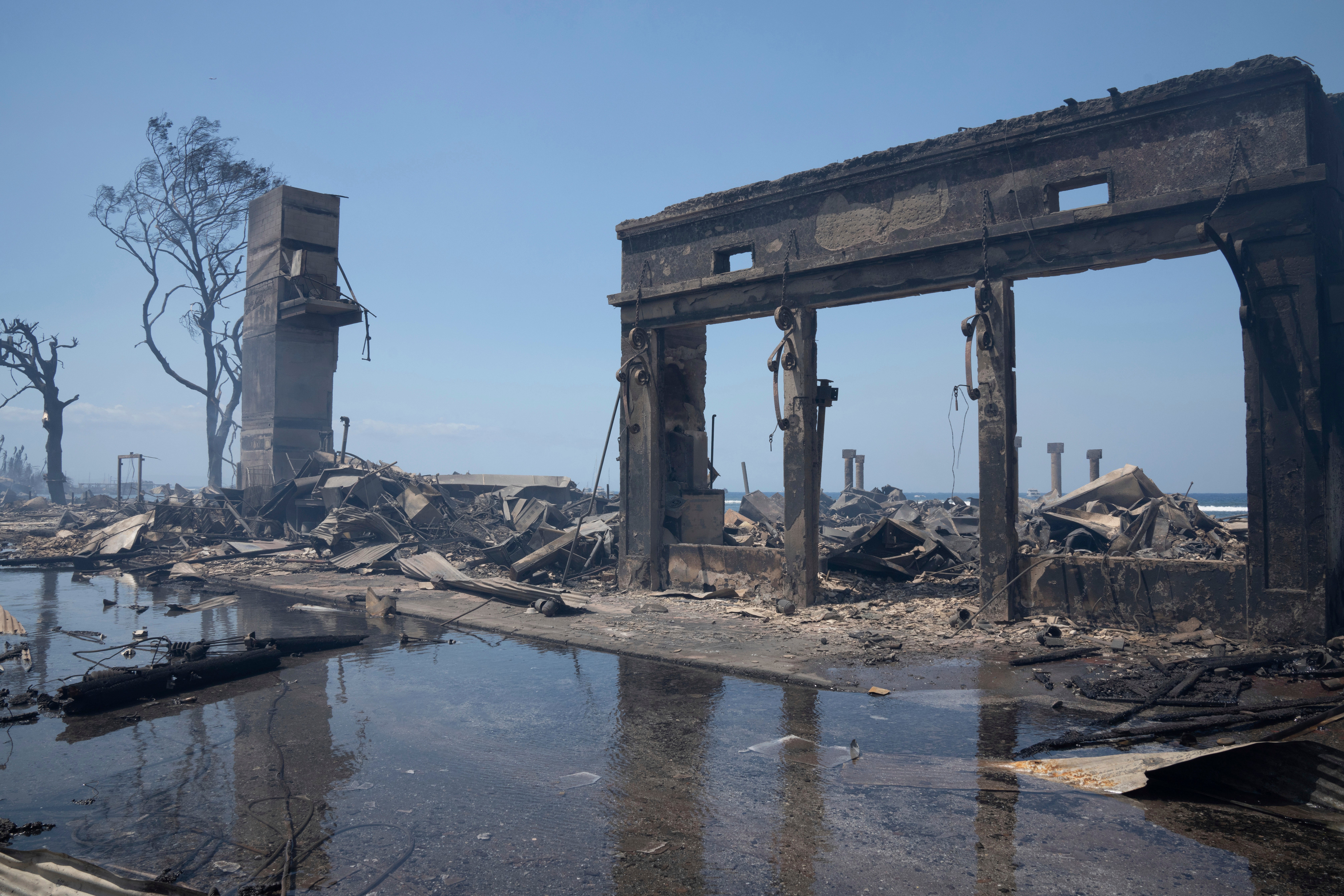 Expertos: Los incendios impactarán el paisaje y el medio ambiente en Hawai