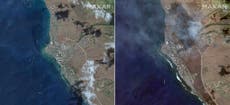 Hawai: Imágenes de antes y después de los incendios forestales evidencian devastación