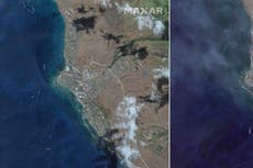 Hawai: Imágenes de antes y después de los incendios forestales evidencian devastación