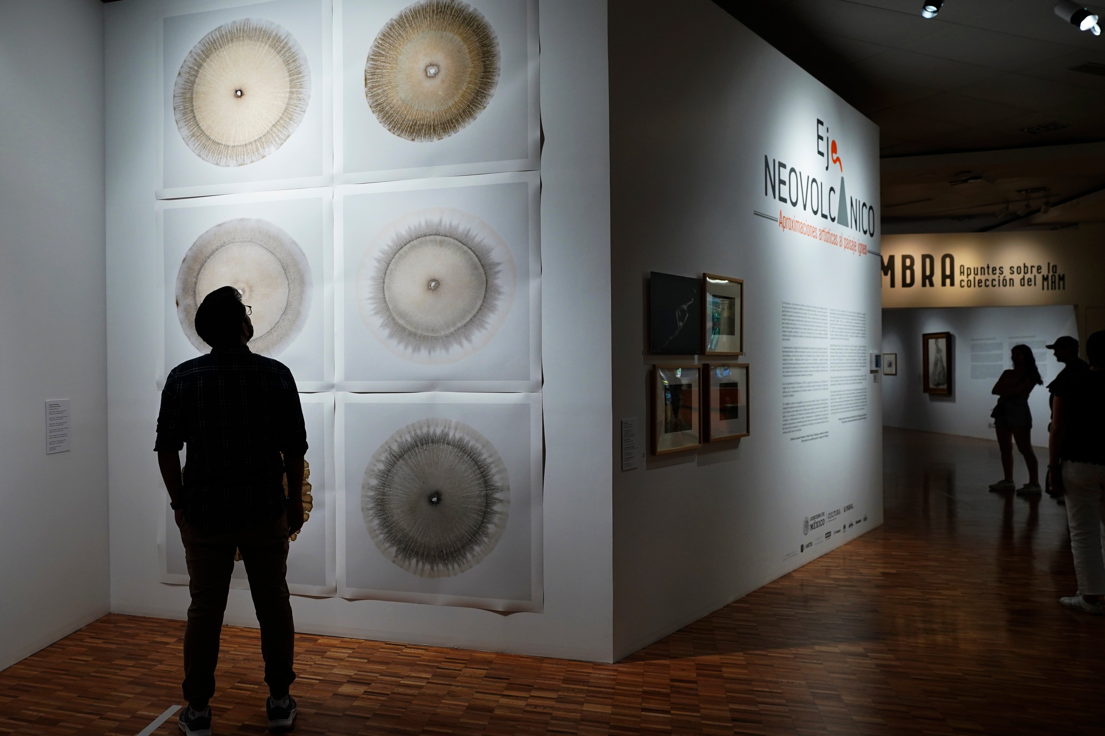 MÉXICO-EXPOSICIÓN-VOLCANES