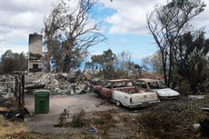 Hawai trabaja para identificar a los 99 muertos de los incendios mientras busca entre las ruinas
