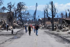 Cables eléctricos derribados habrían causado los mortíferos incendios en Hawai