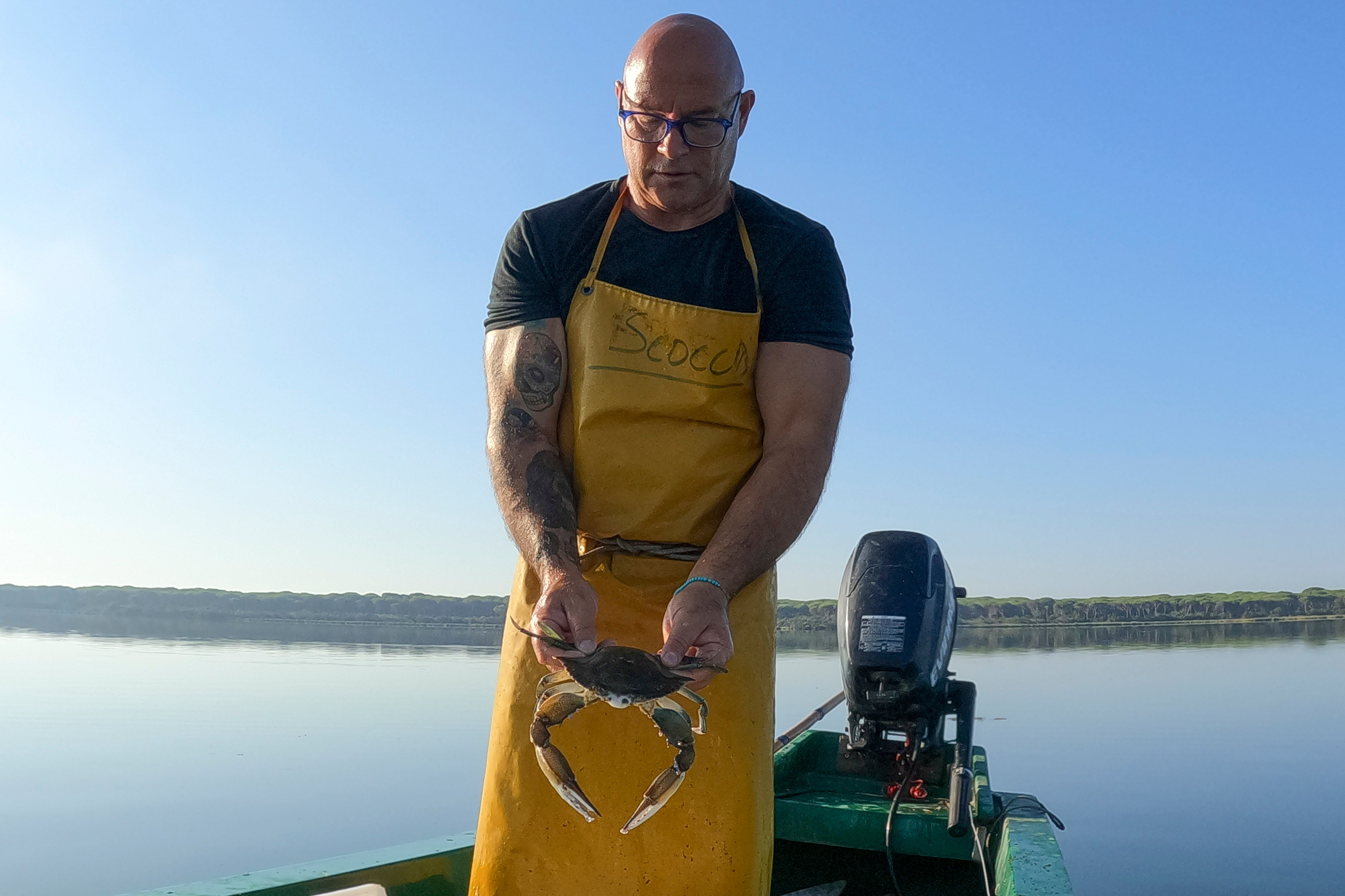 ITALIA-CANGREJO AZUL-INVASIÓN