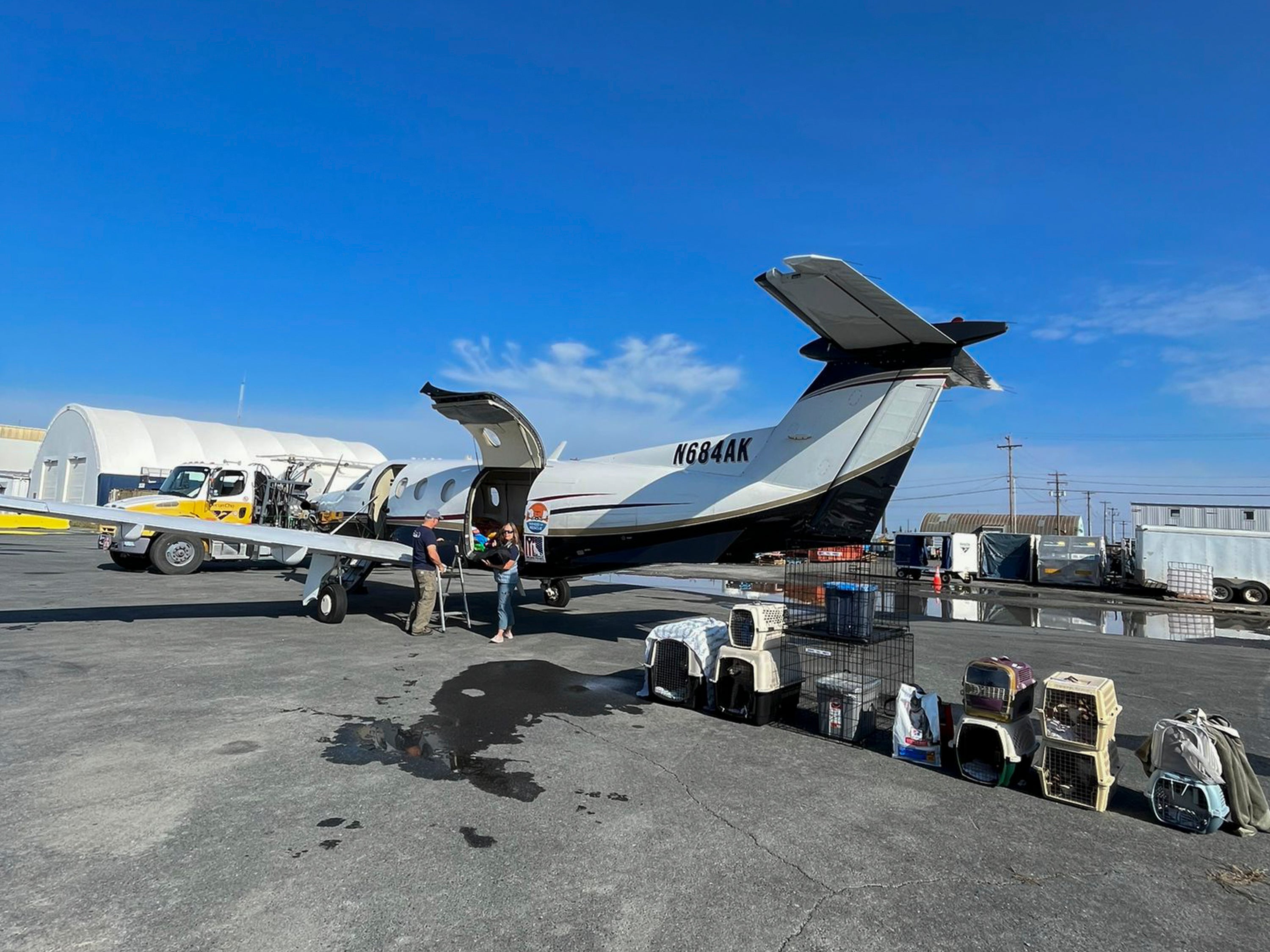 REP-GEN CANADÁ-INCENDIOS MASCOTAS