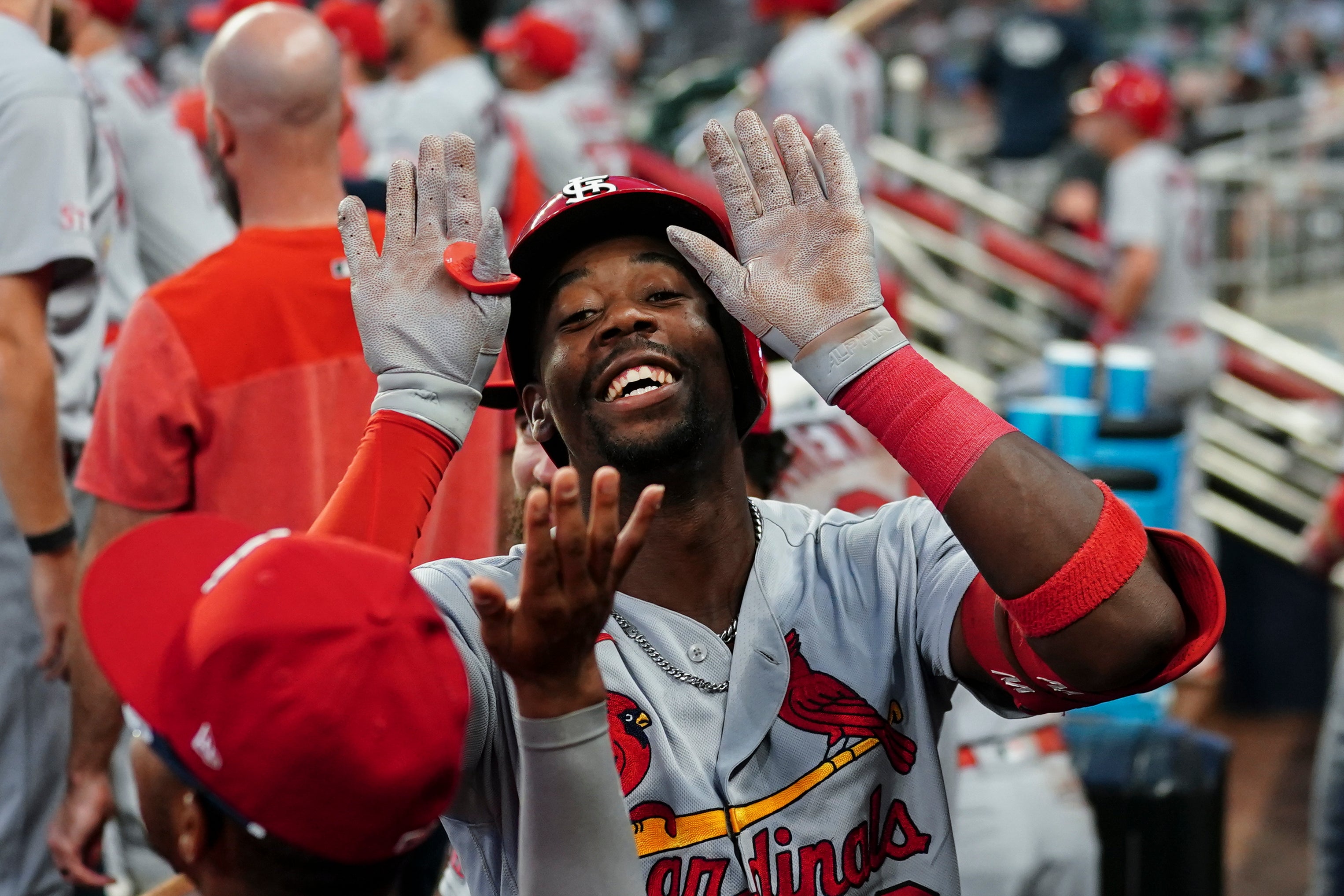 CARDENALES BRAVOS