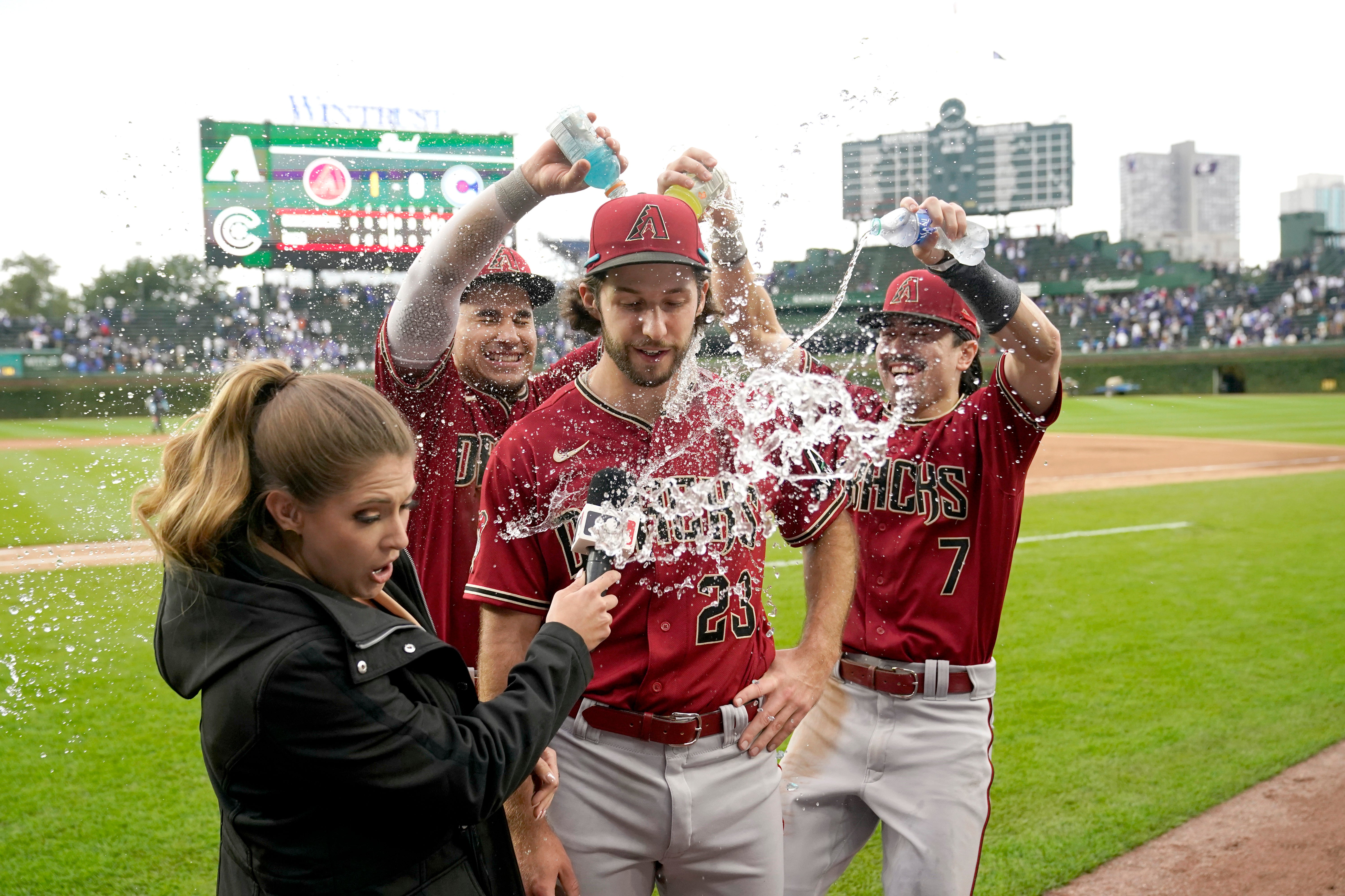 DIAMONDBACKS-CACHORROS