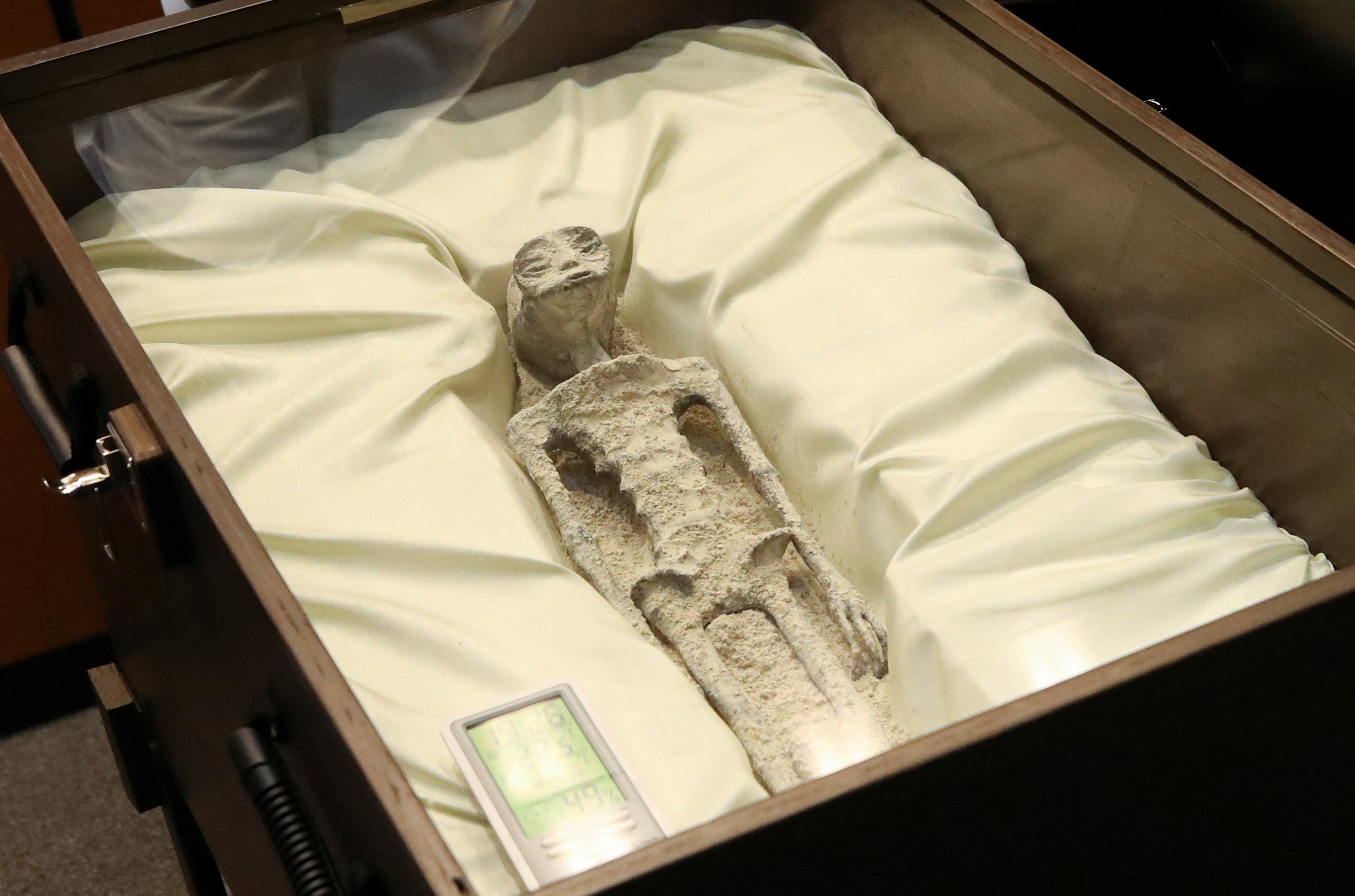 Se afirmó que los restos momificados tenían ADN que es 30 por ciento 'desconocido'