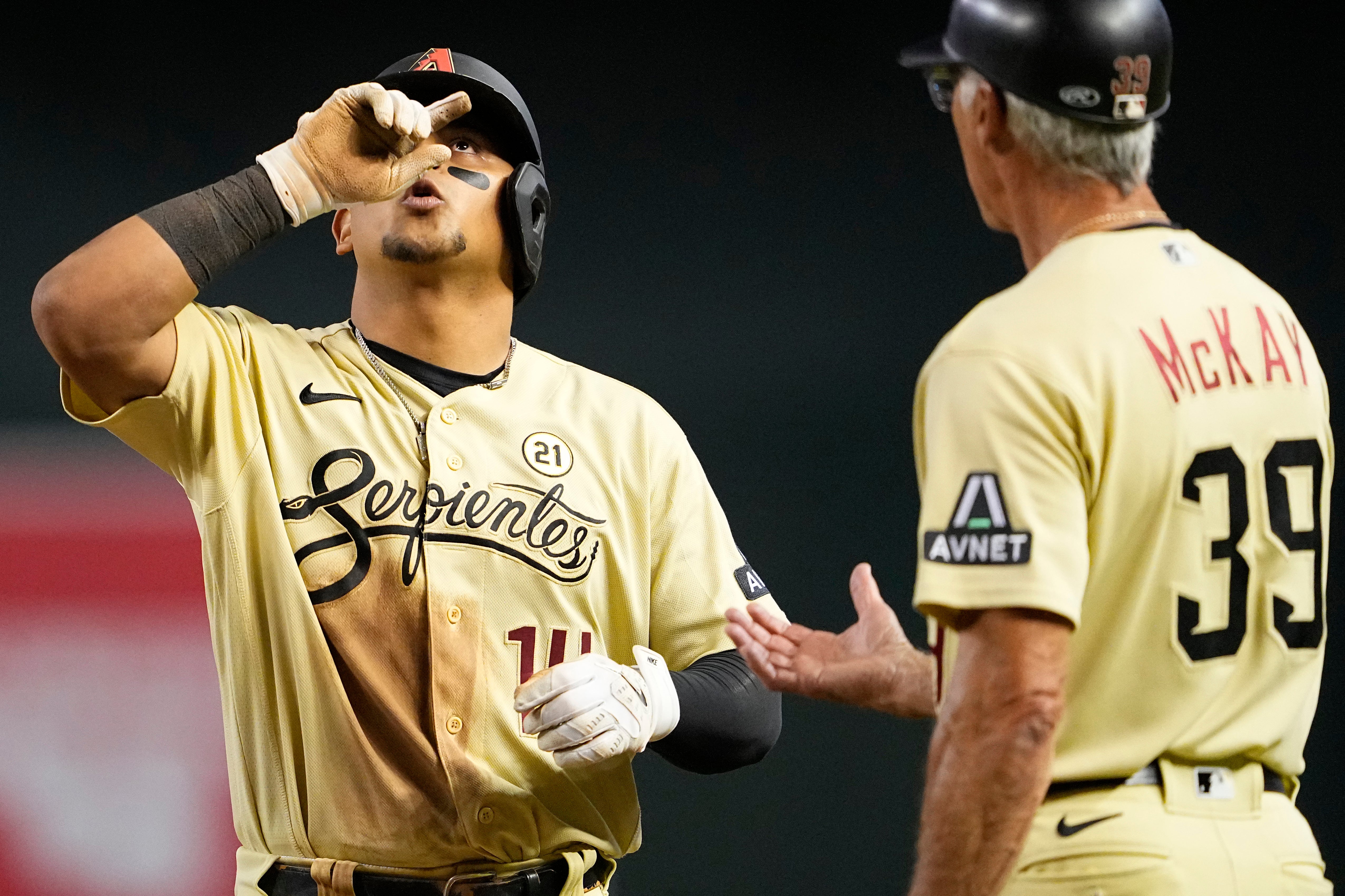 CACHORROS-DIAMONDBACKS