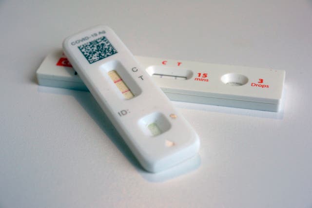 <p>Biden COVID Tests</p>