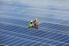 Caída del precio de paneles solares dejará “obsoletos” a los combustibles fósiles
