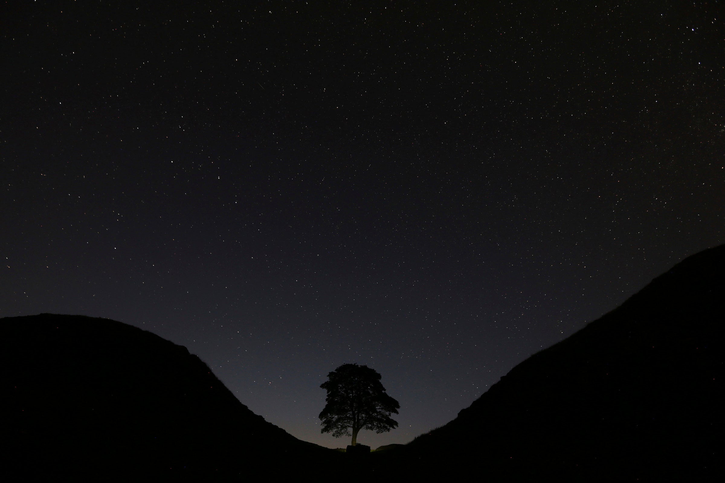 Un cielo estrellado sobre Sycamore Gap, antes de las perseidas sobre el Muro de Adriano, cerca de Bardon Mill, Inglaterra, en agosto de 2015.