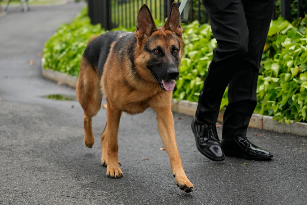 BIDEN-PERRO_70978