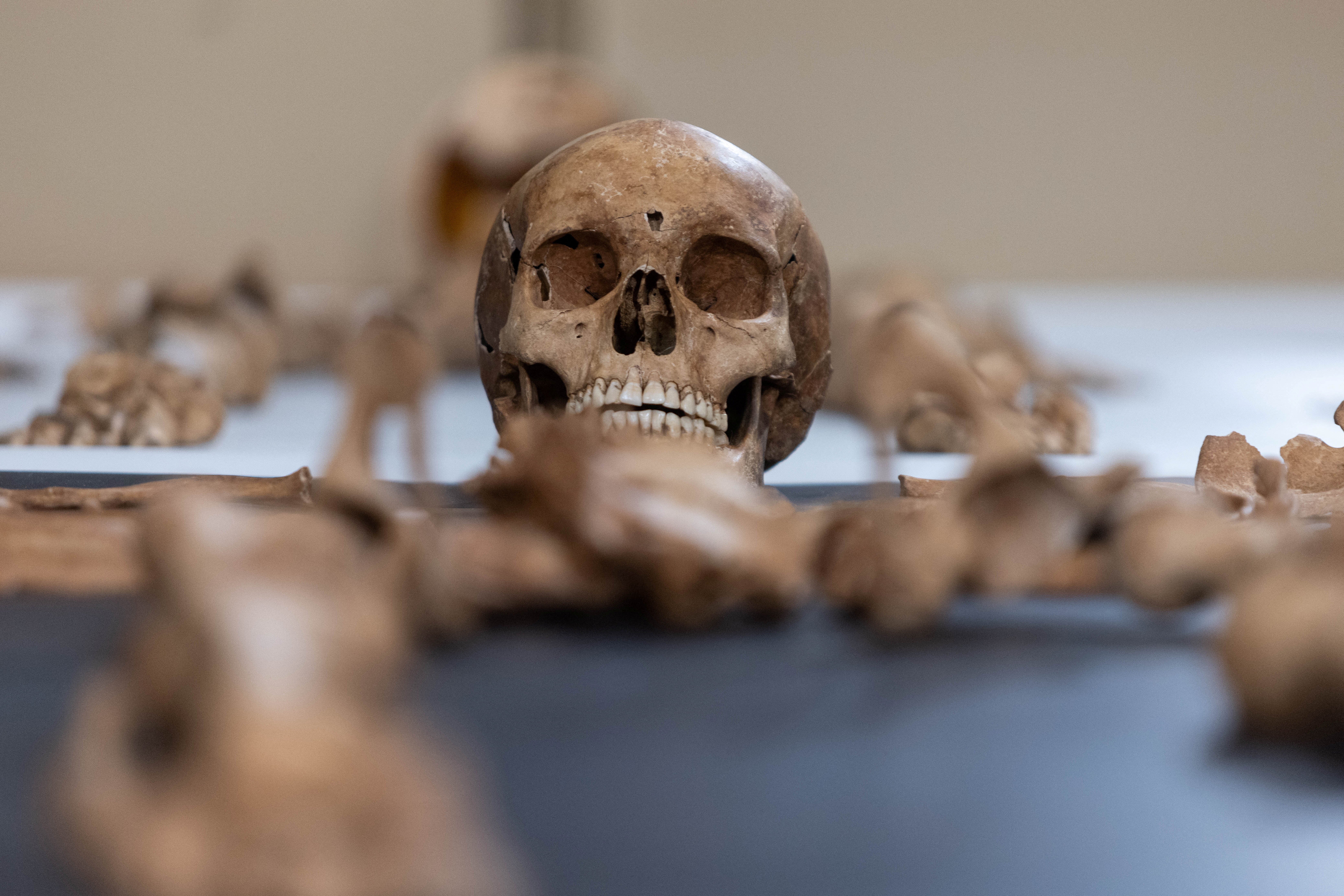 Arqueólogos polacos hallaron los restos de una mujer en un cementerio del siglo XVII reservado para "rechazados" en el pueblo de Pien, al norte de Polonia