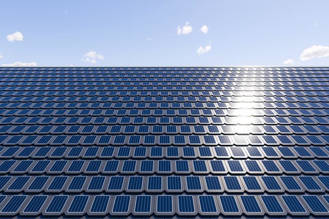 <p>La caída de los costos y la mejora de la eficiencia apuntan a que los paneles solares se convertirán en la principal fuente de energía del mundo en 2050. </p>