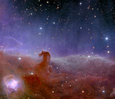 ‘Cabeza de caballo’: este es el más reciente hallazgo del Telescopio James Webb