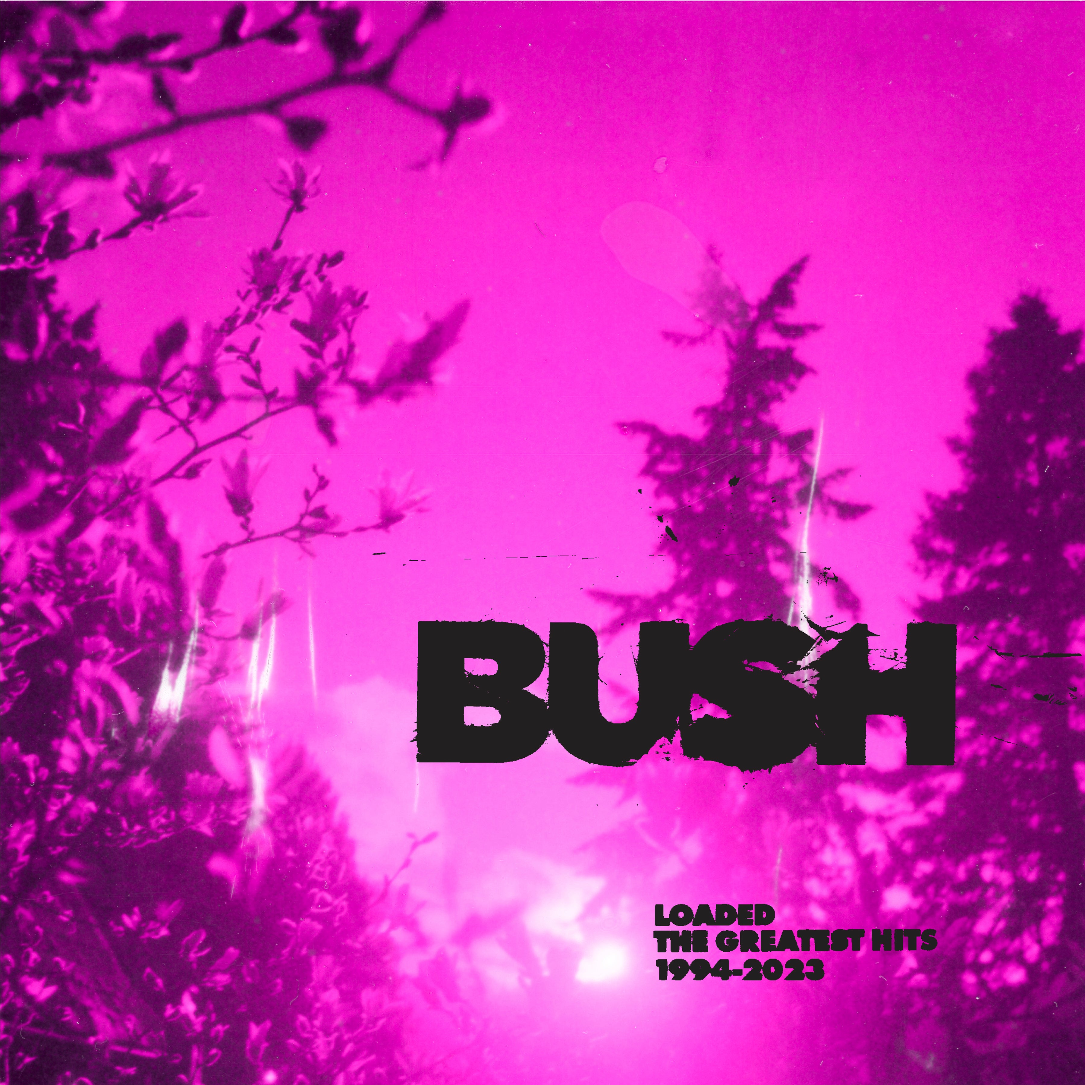 BUSH