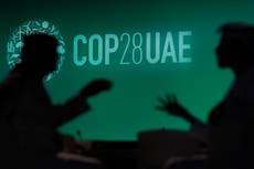 ¿Qué esperar de la conferencia del clima de la ONU que arranca en Emiratos?