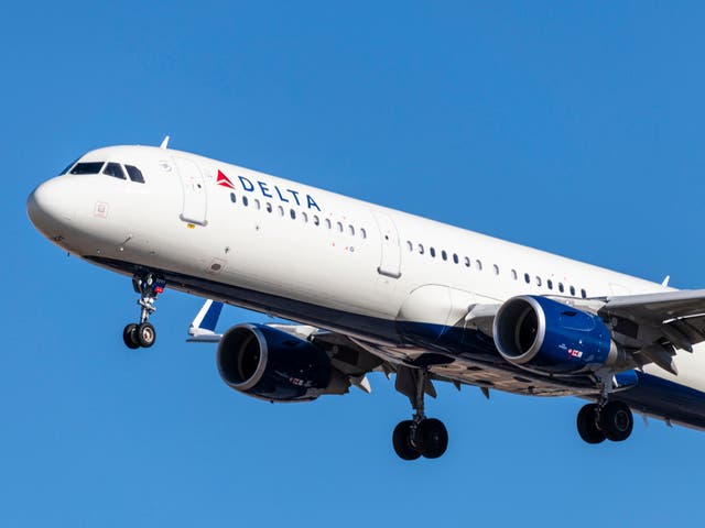 <p>Vuelo de Delta se ve obligado a regresar al aeropuerto de embarque cuando unos gusanos caen sobre los pasajeros </p>