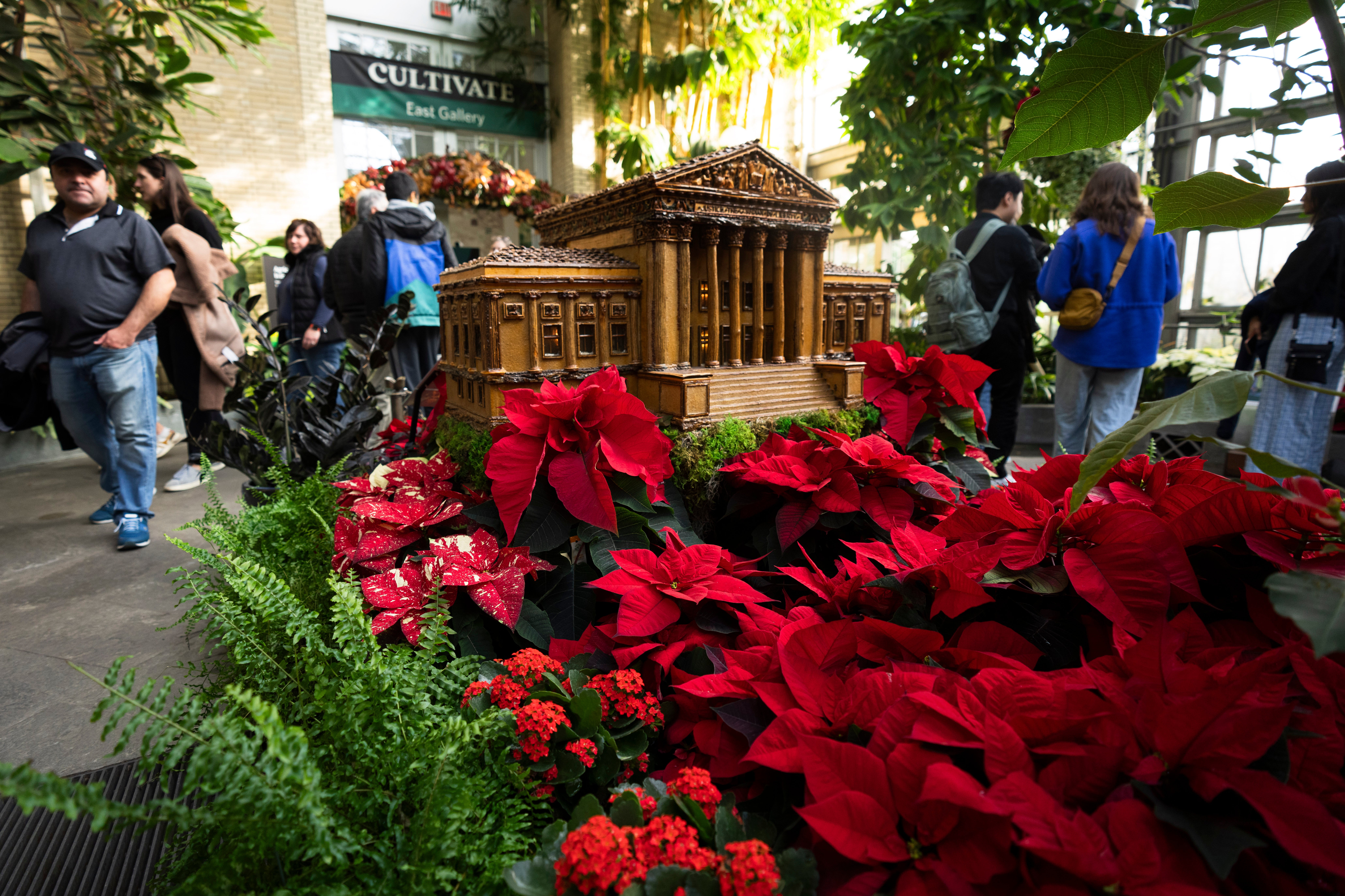 NAVIDAD-FLOR-NOMBRES