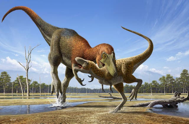<p>El 'Tyrannosaurus rex' podría haber corrido de puntillas, según un nuevo estudio (imagen de archivo)</p>