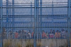 "El Patrón" Norero, el capo ecuatoriano al mando de una trama corrupta expuesta en miles de chats