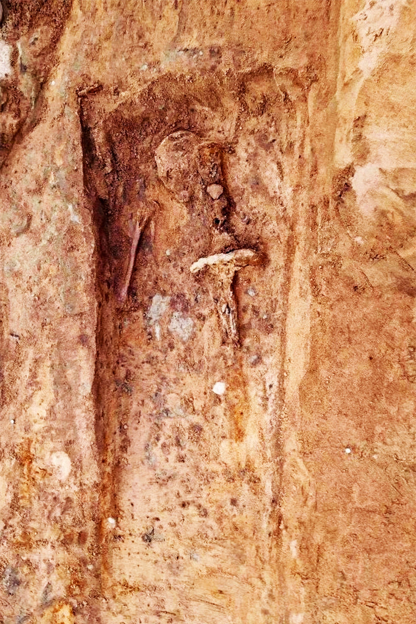 Foto de la tumba en la que se encontró la espada durante la excavación. Allí se puede observar un cráneo, la parte superior de uno de los brazos, y la espada ubicada sobre el lado izquierdo con su respectiva empuñadura.