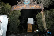 La jirafa Benito finalmente llega a su nuevo hogar pero ahora viene lo difícil: adaptarse