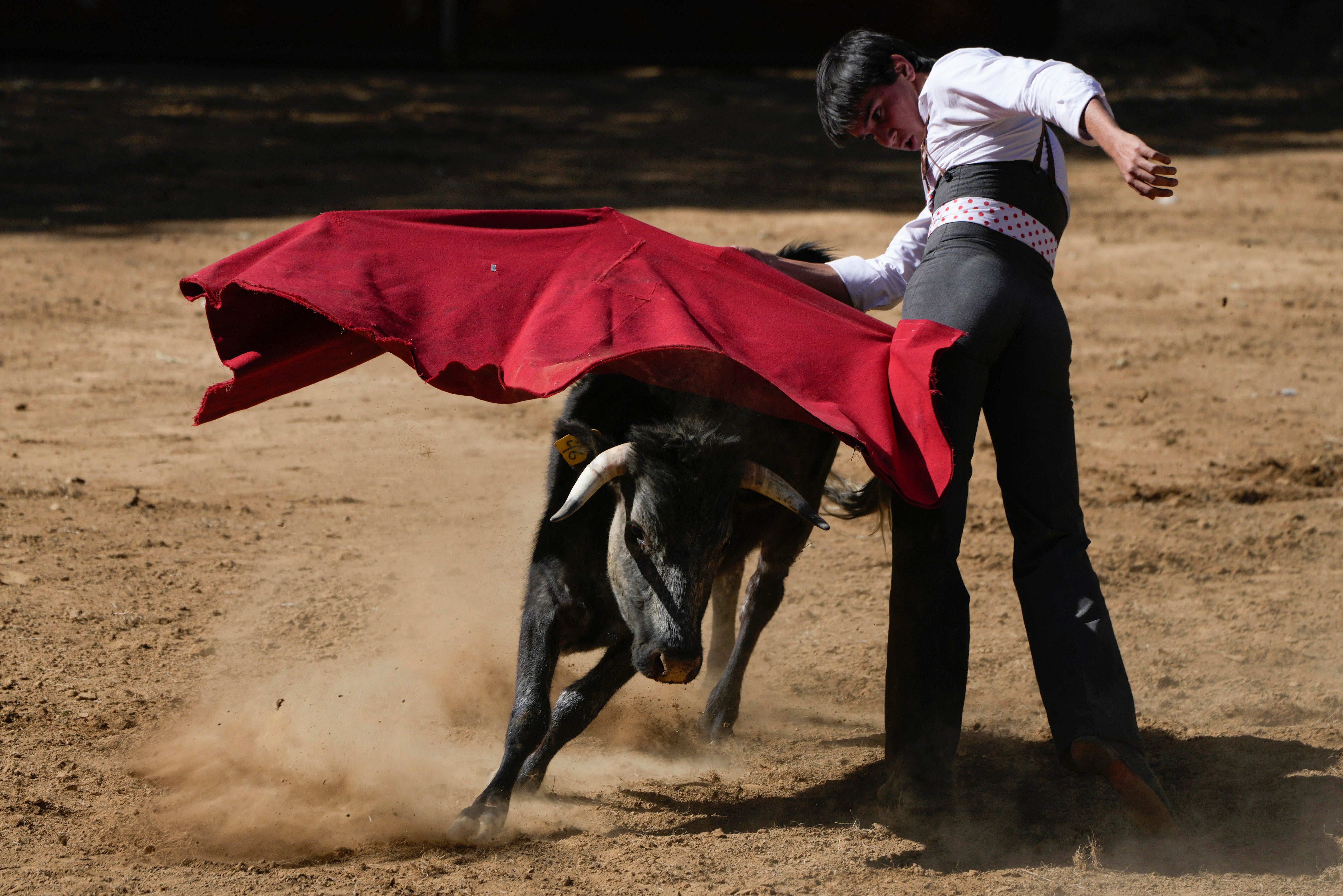 MÉXICO-TOROS