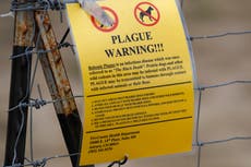 Confirman muerte en Nuevo México por peste bubónica