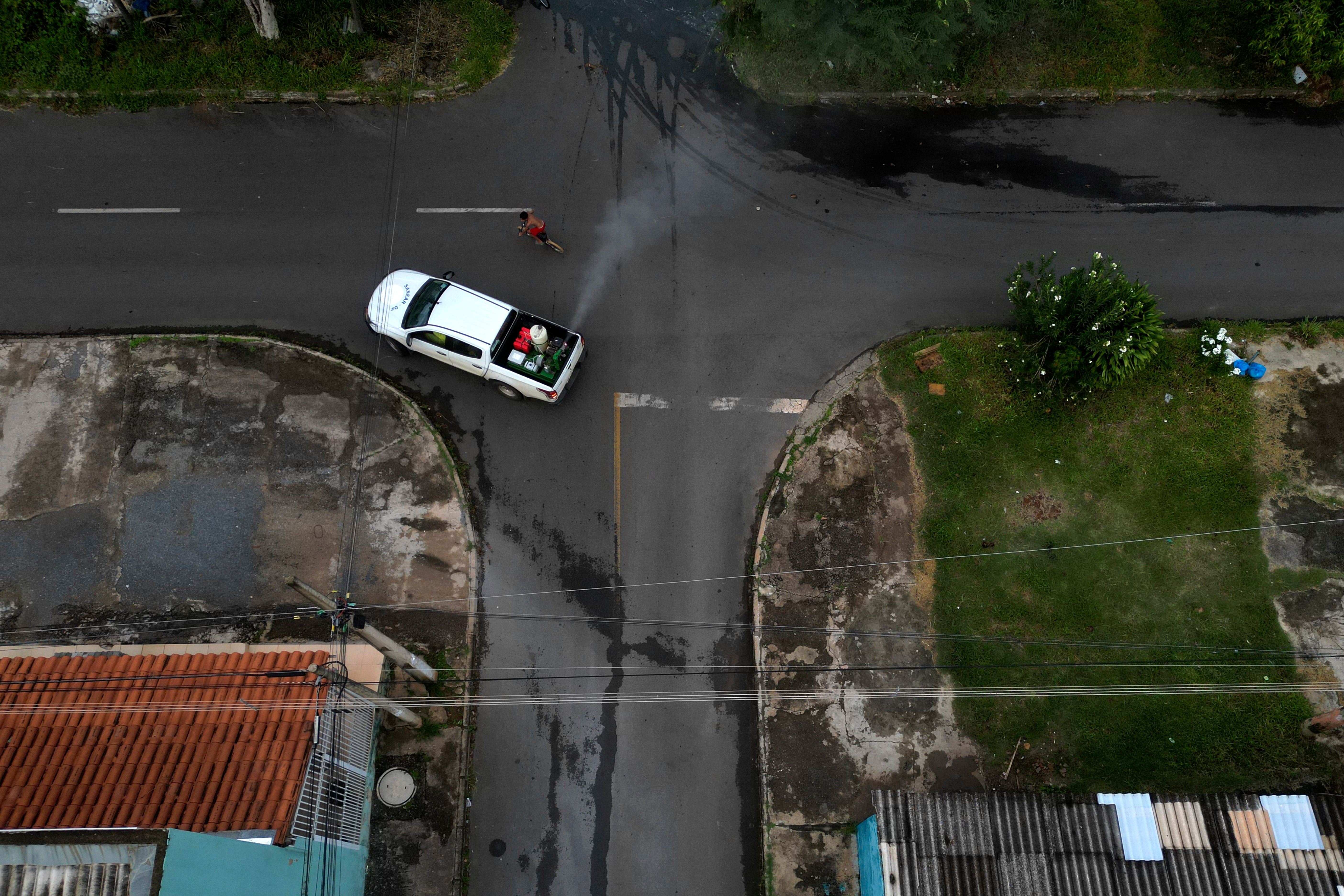 AMS-GEN BRASIL-DENGUE