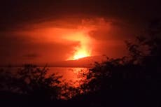 Entra en erupción volcán en una isla deshabitada en Galápagos; autoridades descartan riesgos