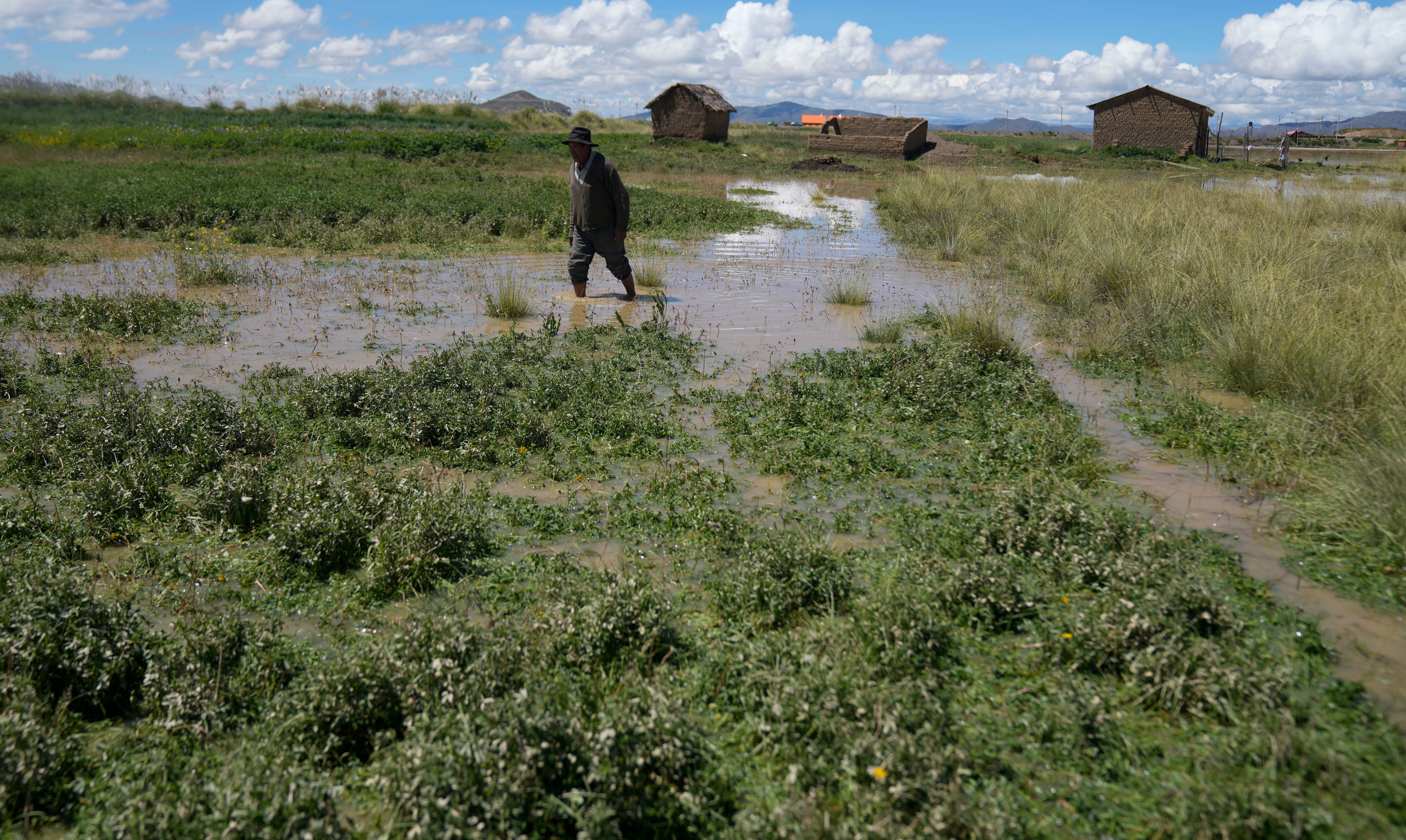 BOLIVIA-LAGO TITICACA