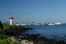 Cierran sitios de visita en Galápagos por sospecha de brote de gripe aviar