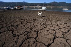 En México, el desarrollo, la sequía y la ilegalidad están secando un lago antes resplandeciente