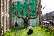 Banksy crea mural con árbol mutilado en Londres