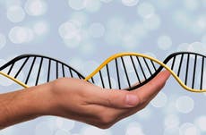 ¿Cura contra el cáncer? Crean cromosomas humanos de forma artificial