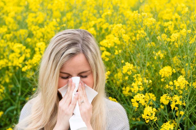 <p>Spring and early summer is the worst time for hay fever sufferers (Alamy/PA)</p>