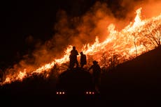 Gobierno reporta 116 incendios forestales activos en México