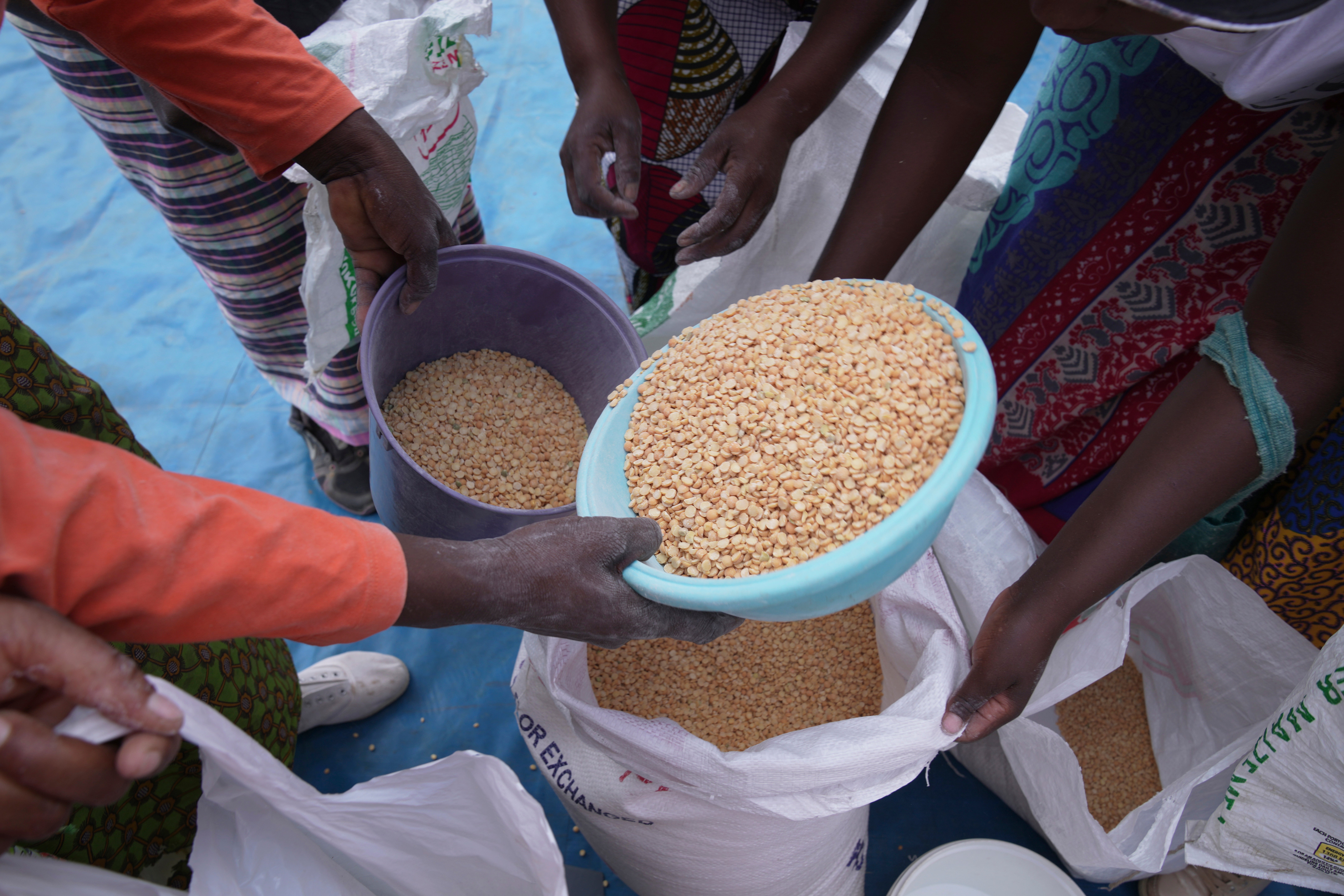 SUR DE ÁFRICA-SEQUÍA Y HAMBRE