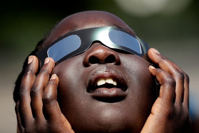 <p>Solar Eclipse Businesses</p>