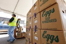 El mayor productor de huevos de EEUU detiene producción en planta de Texas tras detectar gripe aviar