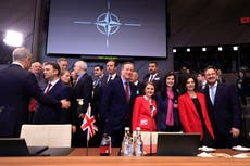 La OTAN cumple 75 años mientras la guerra en Ucrania y el populismo amenazan su unidad