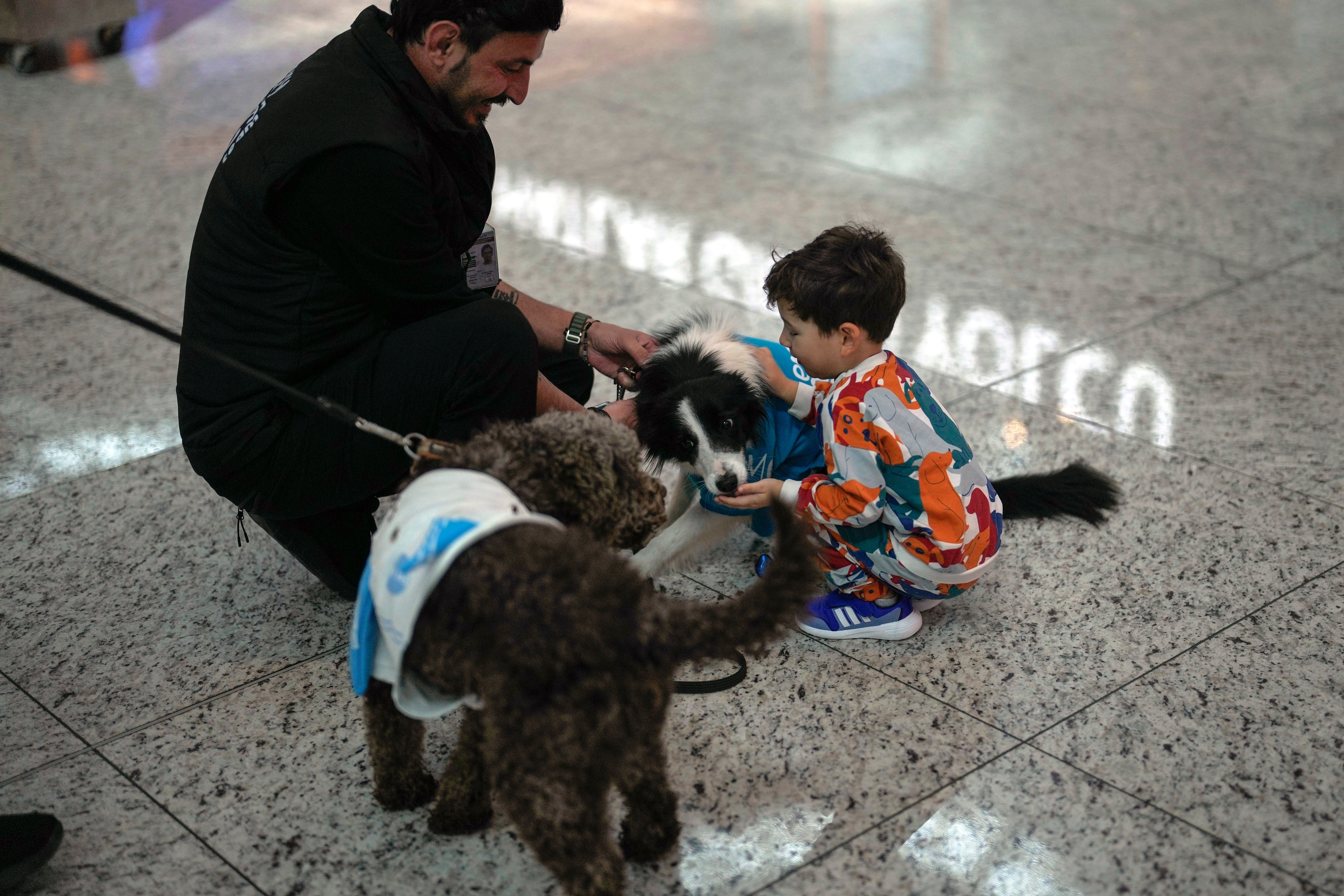 EUR-GEN TURQUÍA-AEROPUERTO PERROS