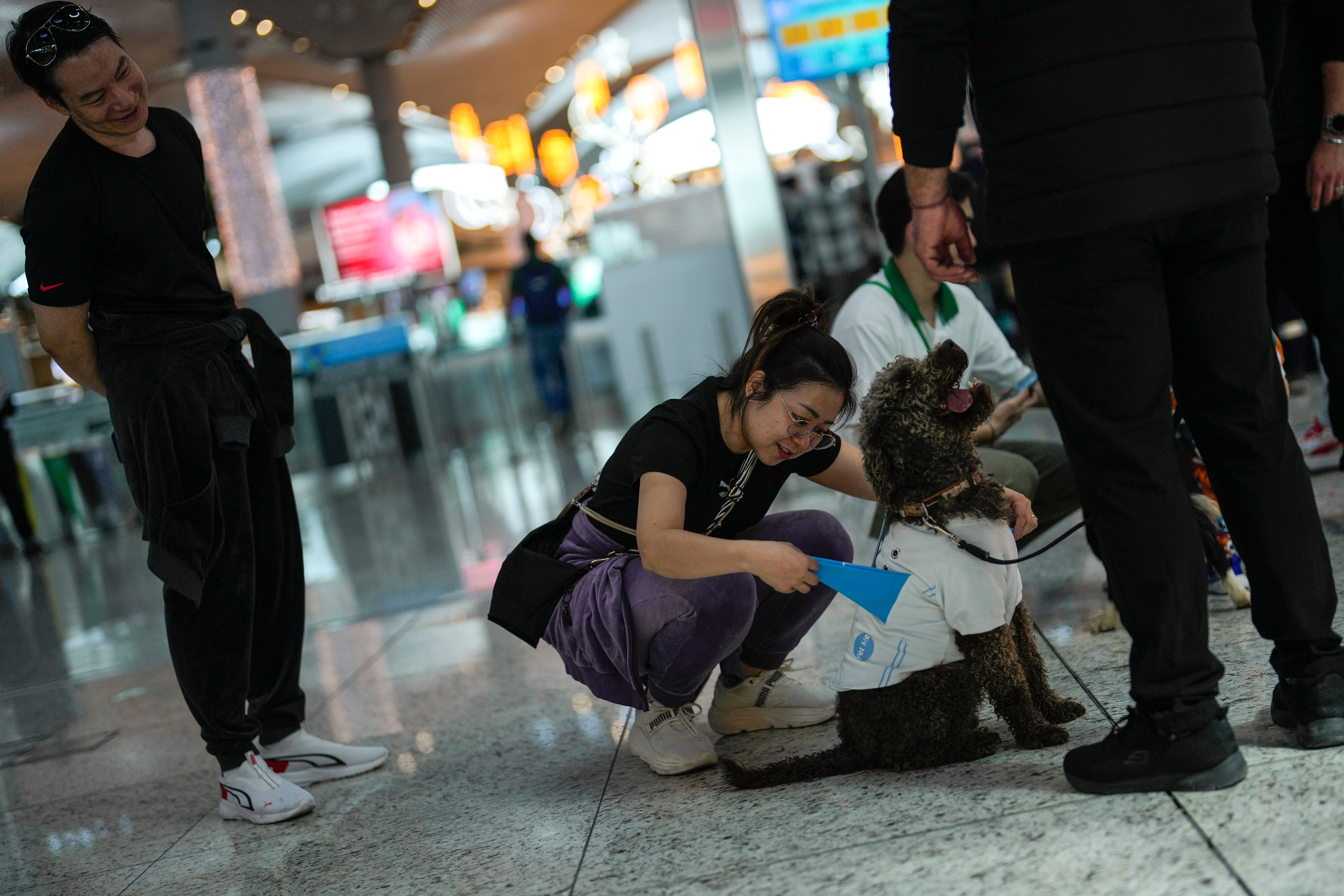 EUR-GEN TURQUÍA-AEROPUERTO PERROS