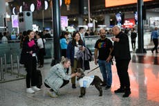 Aeropuerto de Estambul contrata perros de terapia para mejorar experiencia de viajeros con ansiedad