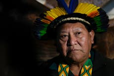 Líder indígena de Brasil pide al papa apoyo para revertir el daño a la Amazonia