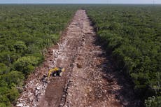 López Obrador admite daño en cenote por construcción de tren turístico en el Caribe mexicano