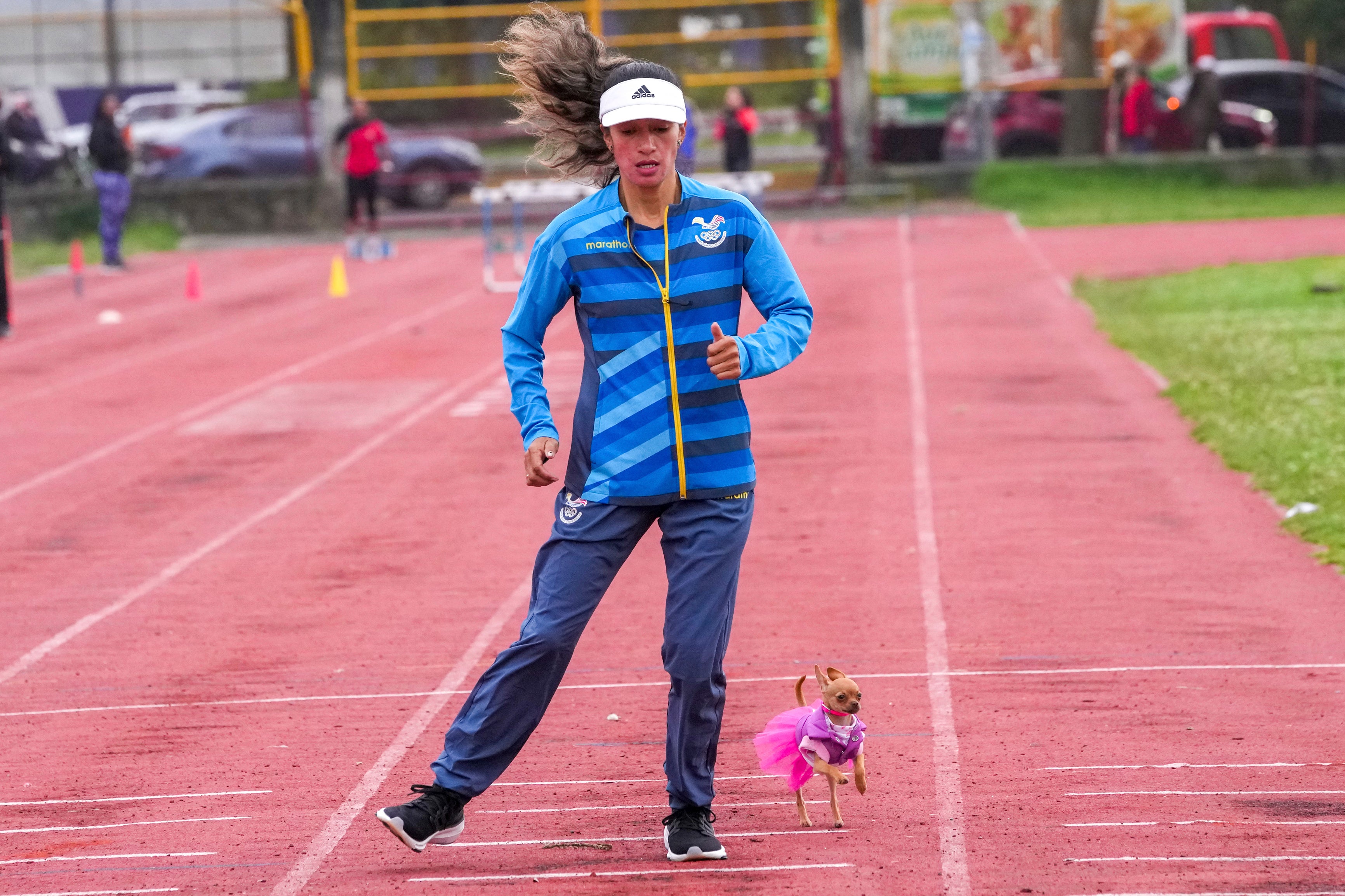 PARÍS-ECUADOR CHACHA