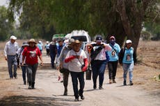 Activistas se unen en México para buscar a sus familiares desaparecidos sin ayuda del Estado